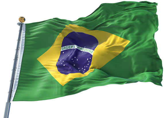 Brasil's flag